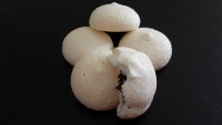 /album/galerie-photos/meringues-chocolat-02-jpg/